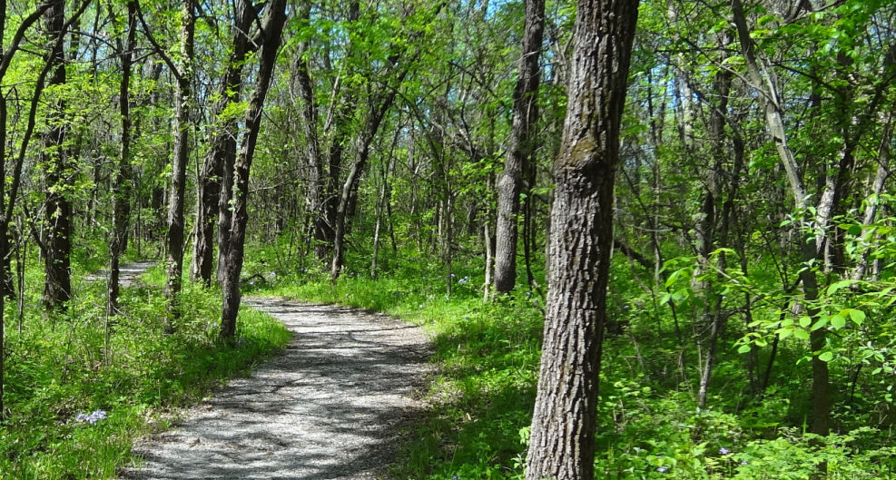 Celebrate National Trail Day: Being a part and sharing the joy!