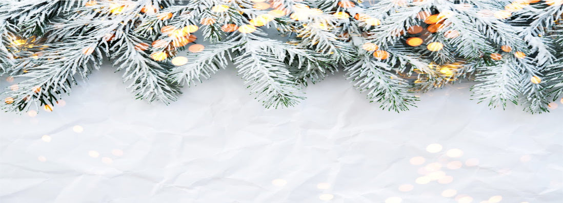 Winter Wonderland