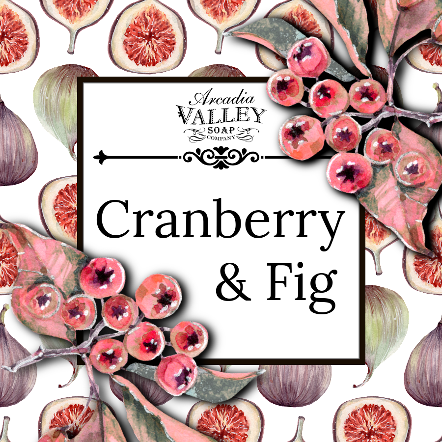Cranberry and Fig Graphic square label with red, purple and green toned fruits with a white box in front