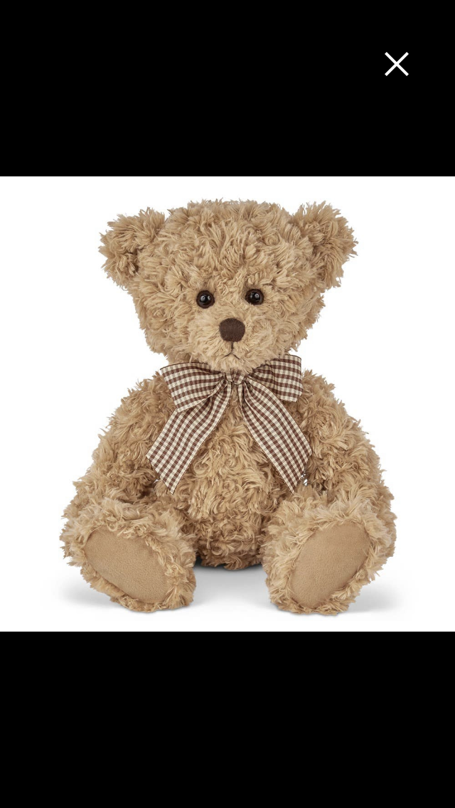 Classic Teddy Bear